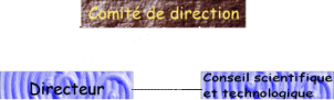 comite.jpg (32424 octets)